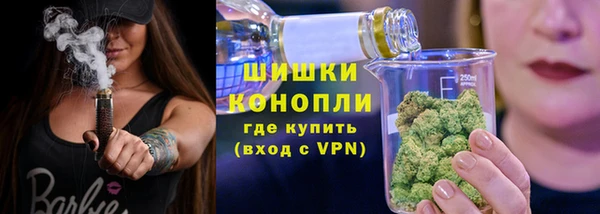 стаф Снежногорск